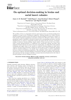 On optimal decision-making in brains and social insect colonies