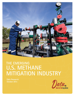 The Emerging US Methane Mitigation Industry