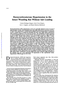 Deoxycorticosterone Hypertension in the Intact Weanling Rat