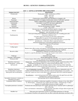 Genetics Terms for Exam