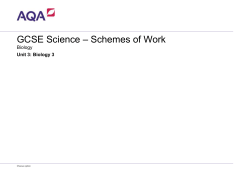 GCSE Science &ndash; Schemes of Work