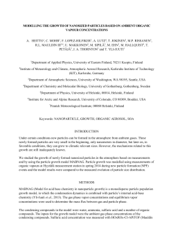 MODELLING THE GROWTH OF NANOSIZED PARTICLES BASED