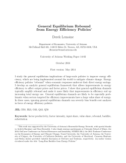 General Equilibrium Rebound from Energy Efficiency Policies Derek
