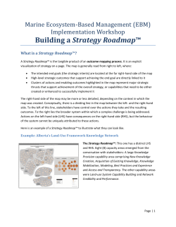 Building a Strategy Roadmap