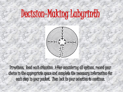 Decision-Making Labyrinth