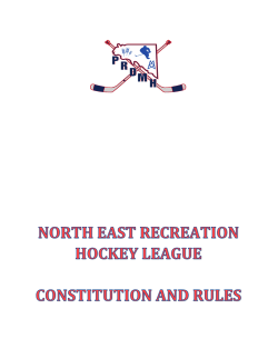 north east recreation hockey league constitution and rules