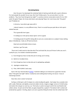 The Hurling Diaries - Education in Ireland Blog