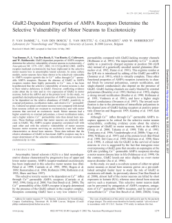 GluR2-Dependent Properties of AMPA Receptors Determine the