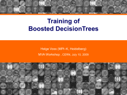 Decision Tree Pruning
