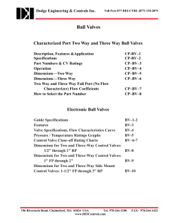 Ball Valves - DEI Controls