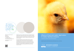 Effects of food and water deprivation in newly