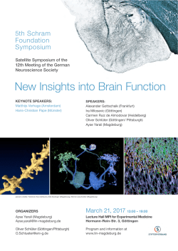 New Insights into Brain Function - Schram