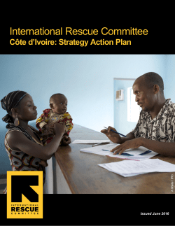 Strategy Action Plan Template - International Rescue Committee