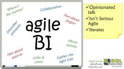 agile BI