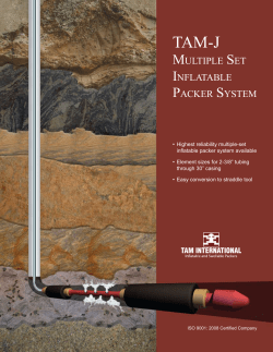 multiple set inflatable packer system