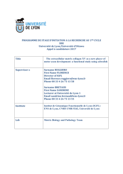 The extracellular matrix collagen XV as a new player of
