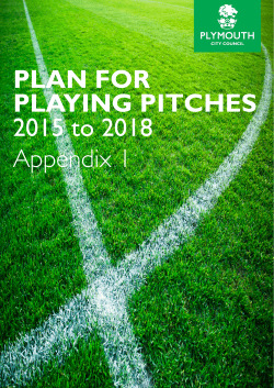 PLAN FOR PLAYING PITCHES 2015 to 2018 Appendix 1
