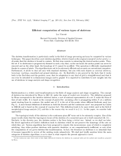 Efficient computation of various types of skeletons - Vincent-Net