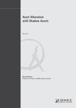 Asset Allocation with Shadow Assets