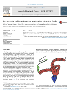 Rare anorectal malformation with a non-terminal colovesical