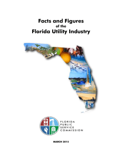 Facts and Figures Florida Utility Industry