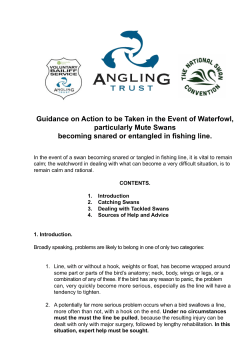 Guidance on Action to be Taken in the Event of