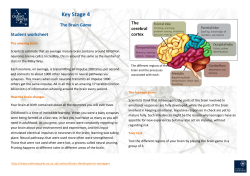 Key Stage 4 The Brain Game