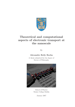 Theoretical and computational aspects of electronic transport at the