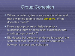 Task cohesion