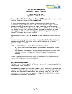Examples of possible projects/strategies/initiatives