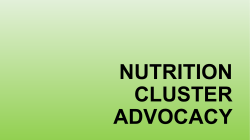 GNC ADVOCACY STRATEGY
