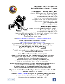 Roller Hockey League