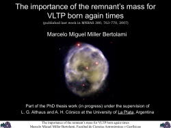 The importance of the remnant`s mass for VLTP born again times