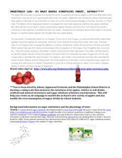 Sweetness Lab - A Taste of Chemistry