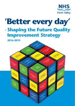 Quality Improvement Strategy