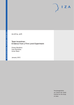 Team Incentives: Evidence from a Firm Level Experiment