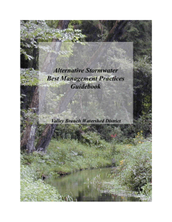 Alternative Stormwater Best Management Practices Guidebook