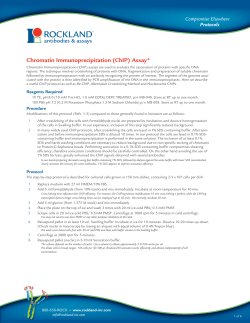 Chromatin Immunoprecipitation (ChIP) Assay*