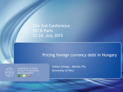 Foreign Currency Borrowing in Hungary: the Pricing Behavior of Banks