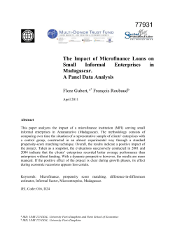 The Impact of Microfinance Loans on Small Informal Enterprises