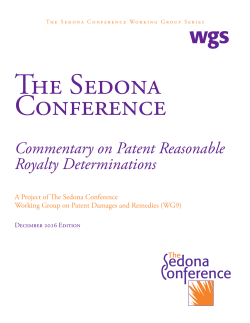 Commentary on Patent Reasonable Royalty Determinations