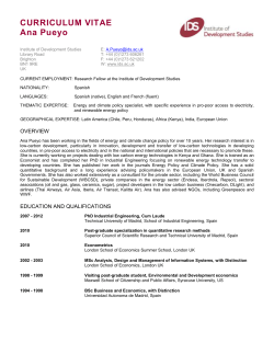 CURRICULUM VITAE Ana Pueyo Institute of Development Studies