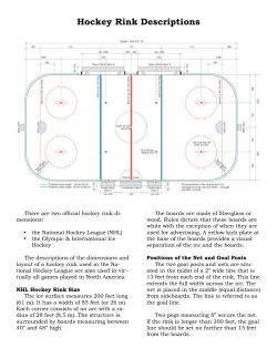 Hockey Rink Descriptions