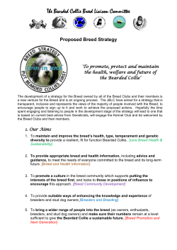 Draft Breed Strategy Outline and Notes for the JBLC
