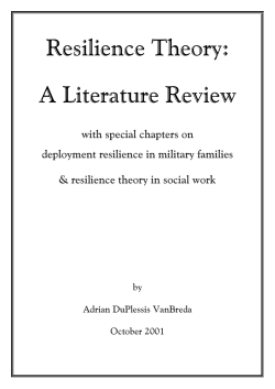 Resilience Theory: A Literature Review