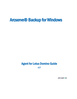 Agent for Lotus Domino Guide