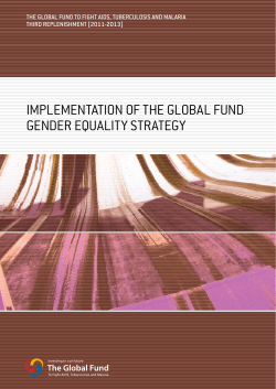 implementation of the global fund gender equality strategy