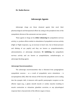 A- Adrenergic Agents and Blockers Lectures