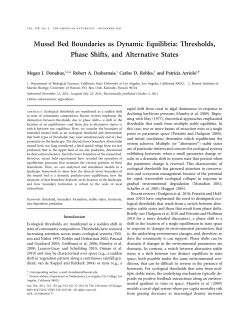 Mussel Bed Boundaries as Dynamic Equilibria