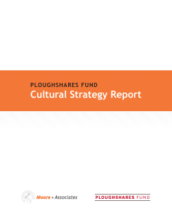 Cultural Strategy Report